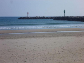 Appartement rénové 4 pers. proche plage, calme, parking, animaux acceptés - FR-1-387-131